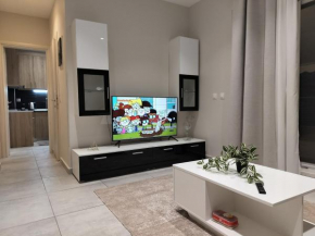 Panoramic View Lux Penthouse Apartment 300m from metro station